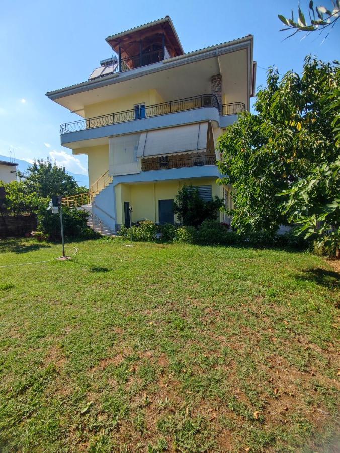 Cheerful 2 Bedroom Villa With Free Parking. Gjirokastër 외부 사진
